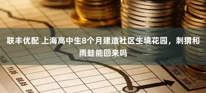 联丰优配 上海高中生8个月建造社区生境花园，刺猬和雨蛙能回来吗
