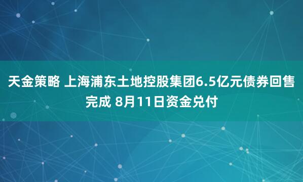 天金策略 上海浦东土地控股集团6.5亿元债券回售完成 8月11日资金兑付