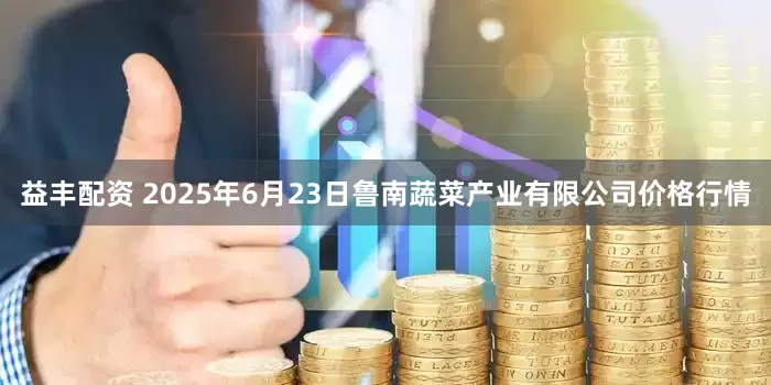 益丰配资 2025年6月23日鲁南蔬菜产业有限公司价格行情